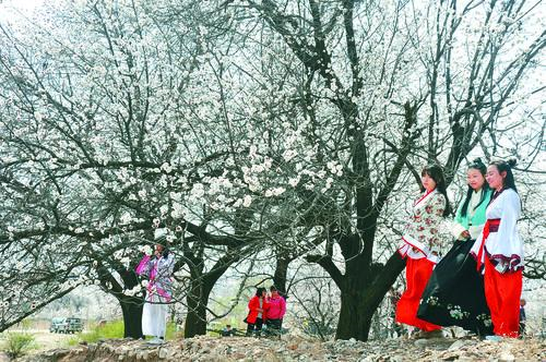 NBA 免费直播 看个球